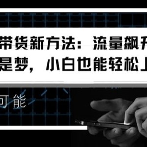 视频号带货新的方法：总流量飙涨，日入千块指日可待，新手也可以快速上手【揭密】