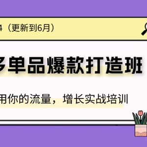 2024拼多多单品爆款打造班，充分应用你的流量，增长实战培训(更新6月)