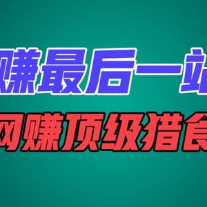 网络赚钱最后一站，卖项目，做网络赚钱顶尖猎食者