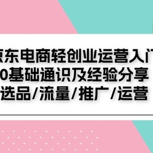 京东电商轻创业运营入门0基础通识及经验分享：选品/流量/推广/运营