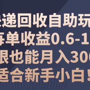 快递回收自助式游戏玩法，每一单盈利0.6-1元，闭上眼也可以月入3000 !适宜新手入门!