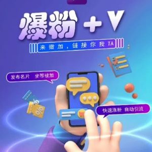 揭密：零撸小程序，运单号每月60 盈利，多号多撸！引流一个18元。