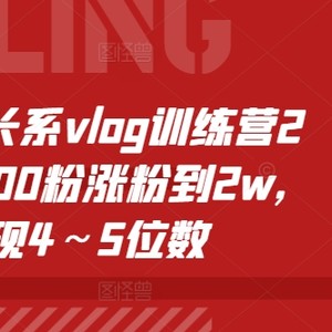 个人提升系vlog夏令营2期，从500粉增粉到2w，转现4～5个数