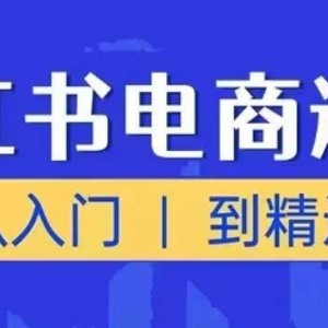 小红书电商运营课，实用教程，陪你把握住又一个挣钱出风口