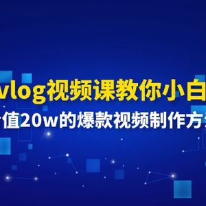 0基础vlog视频课教你小白变大神：价值20w的爆款视频制作方法