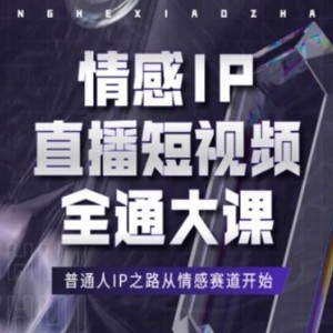 情绪IP直播短视频全通大课，平常人IP之途从情感跑道逐渐