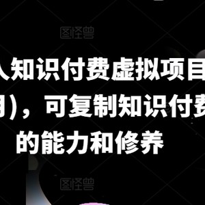 IP合作伙伴社交电商虚拟资源项目(升级24年6月)，复制推广社交电商必不可少能力与涵养