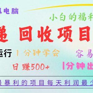 2024最赚钱的新项目，每日盈利500 ，易上手，小白一min懂得，一分钟结果出来