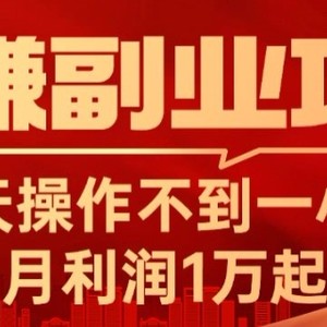 躺赚副业项目，每天操作不到一小时，月利润1万起，实战篇