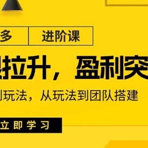 拼多多平台升阶课：极限值拉涨/赢利提升：从优化算法到游戏玩法 从模式到团队搭建（18节）