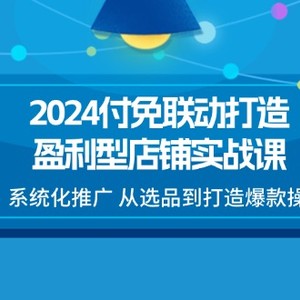 2024付免连动打造出赢利型店面实战演练课，专业化营销推广 从选款到推出爆款实际操作