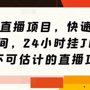 31个直播项目，快速搭建直播间，24小时挂JI，日入不可估计的直播项目
