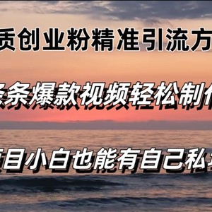 高品质自主创业粉精准引流方法方法，一条条短视频爆品，新手都可以轻松拥有自己公域