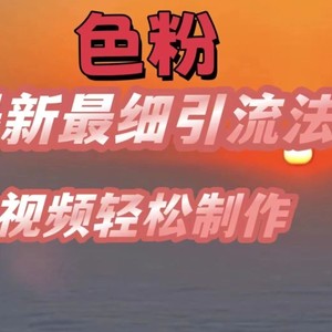 se粉全新较细引流法，七天螺旋式养号法，爆款短视频轻轻松松制做【揭密】