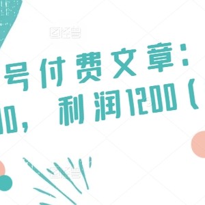 某微信公众号付费文章：客单量1500，盈利1200(续)，销售市场几乎可以说是空白