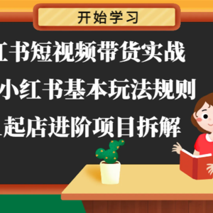 小红书的短视频卖货实战演练-把握小红书的基本上游戏玩法标准，0-1出单升阶新项目拆卸