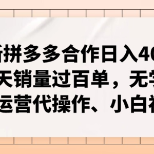 全新拼多多平台优质企业新手褔利，二天销售量过百单，不要钱、老经营代实际操作