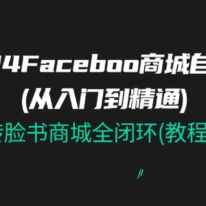 2024Faceboo 商城系统自然流(实用教程)，玩扭头书商城系统全闭环(实例教程 材料)