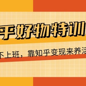知乎好物夏令营，在家里不工作，靠知乎问答转现来维持生计（16节）