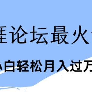 点爆公域运用最红话题讨论天涯社区、新手轻轻松松月入了w-中创网_分享中创网创业资讯_最新网络项目资源