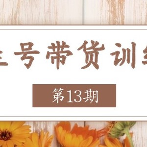 健康养生号卖货夏令营【第13期】盈利更稳定的游戏玩法，使你卖货盈利发生爆炸