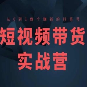 短视频卖货实战营(高级课)，从0到1做一个挣钱的抖音帐号