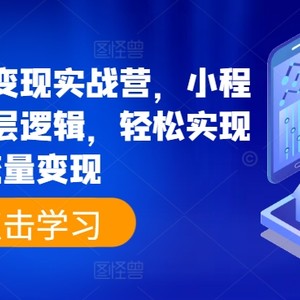 抖音小程序转现实战营，小程序变现的底层思维，真正实现数据流量变现