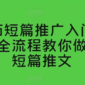 西红柿短篇小说营销推广新手入门课堂教学，全过程手把手带你西红柿短篇小说文章