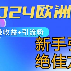 2024世界杯风口的游戏玩法及实现收益躺着赚钱 引流方法粉丝们的方式，新手入门极佳新项目【揭密】