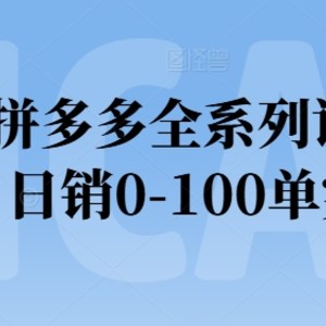 2024拼多多平台全主题课程实际操作，日销0-100单实际操作【必读】