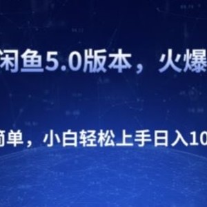 2024闲鱼平台5.0版本号，受欢迎跑道，使用方便，新手快速上手日入1K