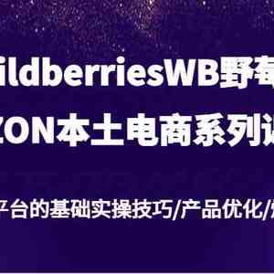 wildberriesWB野莓/OZON本土电商系列课，俄罗斯平台的基础实操技巧/产品优化/爆款打造