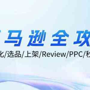 亚马逊全攻略：Listing优化、选品、上架、Review、PPC、秒杀、优惠券等