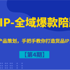 货品IP-全域爆款陪跑营【第4期】赛道选择/产品策划，手把手教你打造货品IP，爆款不断