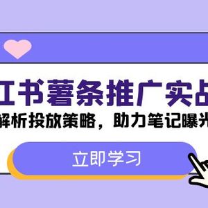 小红书-薯条推广实战课：深度解析投放策略，助力笔记曝光飙升