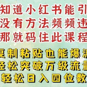 小红书靠复制粘贴一周突破万级流量池干货，以减肥为例，每天稳定引流变现四位数【揭秘】