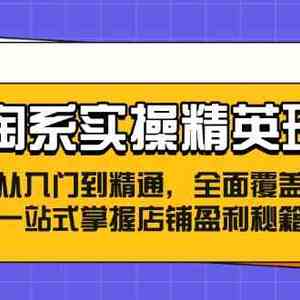 淘系实操精英班：从入门到精通，全面覆盖，一站式掌握店铺盈利秘籍