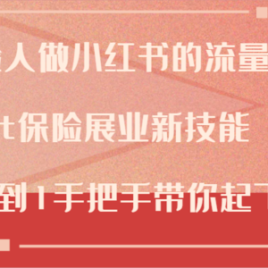 保险人做小红书的流量密码，Get保险展业新技能，从0到1手把手带你起飞