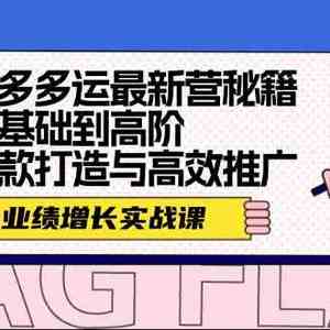 拼多多运最新营秘籍：业绩增长实战课，从基础到高阶，爆款打造与高效推广