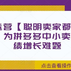 拼多多运营【聪明卖家都在做】无水印版，为拼多多中小卖家解决业绩增长难题