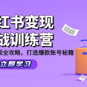 小红书变现实战训练营：定位·流量·变现全攻略，打造爆款账号秘籍