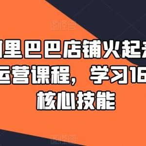 90天阿里巴巴店铺火起来，1688高级运营课程，学习1688运营核心技能