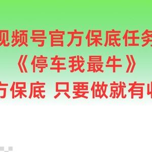 视频号官方保底任务，停车我最牛，官方保底只要做就有收益【揭秘】