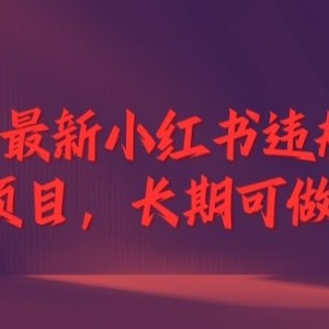 2024最新小红书违规解封项目，长期可做，一个可以做到退休的项目