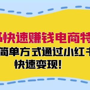 小红书快速赚钱电商特训营：用简单方式通过小红书快速变现！（55节）