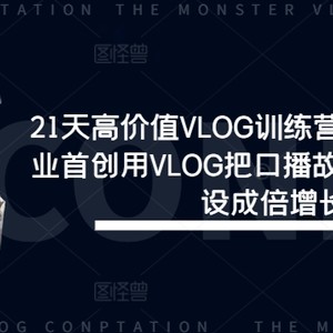 21天高价值VLOG训练营【第一期】行业首创用VLOG把口播故事化，流量人设成倍增长