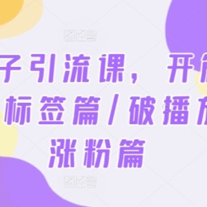 2024钩子引流课，开篇/定位篇/标签篇/破播放篇/涨粉篇